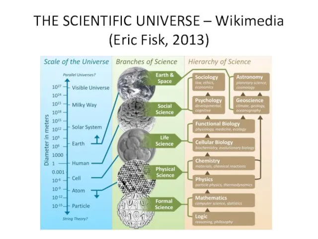THE SCIENTIFIC UNIVERSE – Wikimedia (Eric Fisk, 2013)