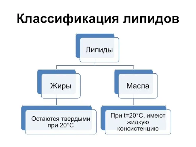 Классификация липидов