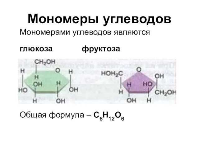Мономеры углеводов Мономерами углеводов являются глюкоза фруктоза Общая формула – C6H12O6