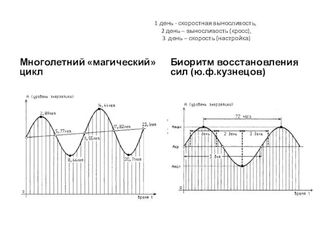 1 день - скоростная выносливость, 2 день – выносливость (кросс),