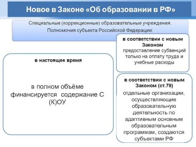 в полном объёме финансируется содержание С(К)ОУ отдельные организации, осуществляющие образовательную