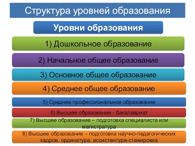 Структура уровней образования Уровни образования 1) Дошкольное образование 2) Начальное