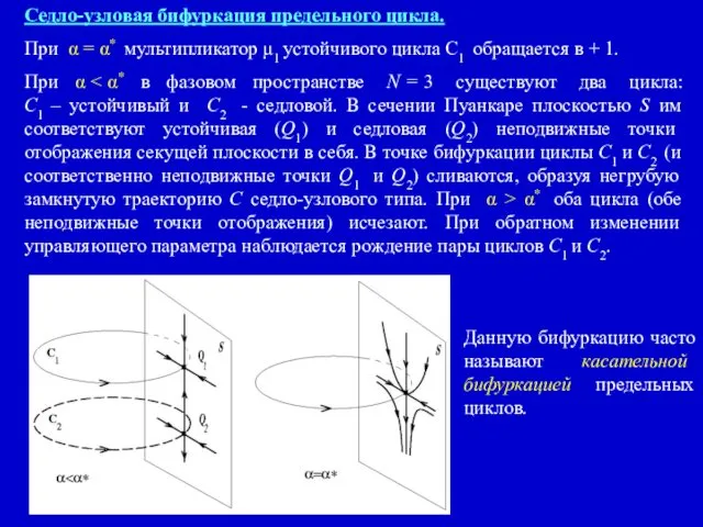 Седло-узловая бифуркация предельного цикла. При α = α* мультипликатор μ1