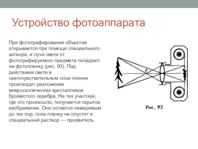 Устройство фотоаппарата При фотографировании объектив открывается при помощи специального затвора,