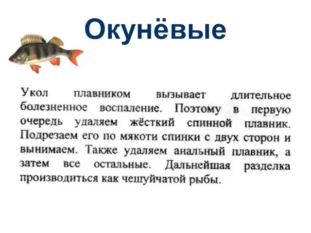 Окунёвые