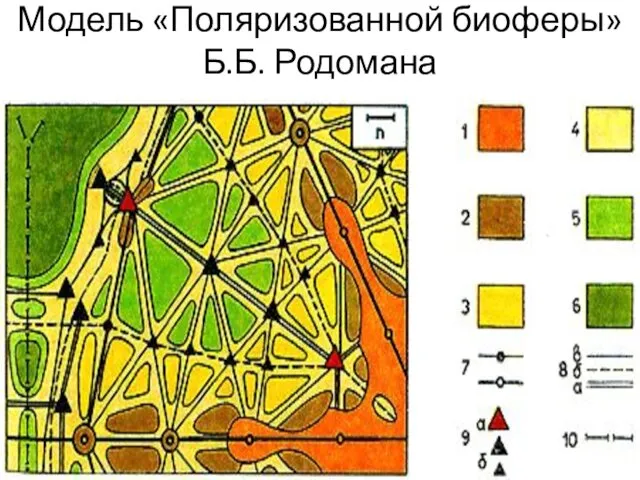 Модель «Поляризованной биоферы» Б.Б. Родомана