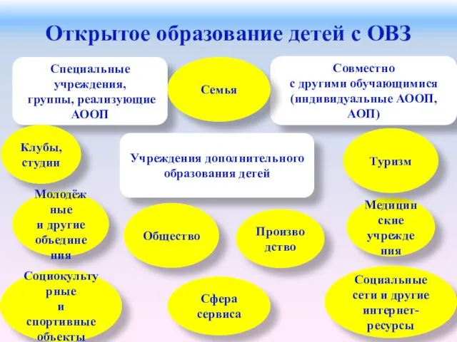 Открытое образование детей с ОВЗ Совместно с другими обучающимися (индивидуальные