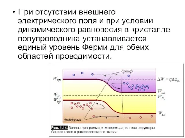 При отсутствии внешнего электрического поля и при условии динамического равновесия