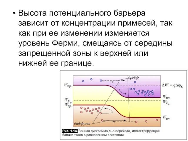 Высота потенциального барьера зависит от концентрации примесей, так как при