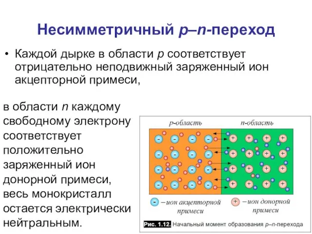 Несимметричный p–n-переход Каждой дырке в области p соответствует отрицательно неподвижный