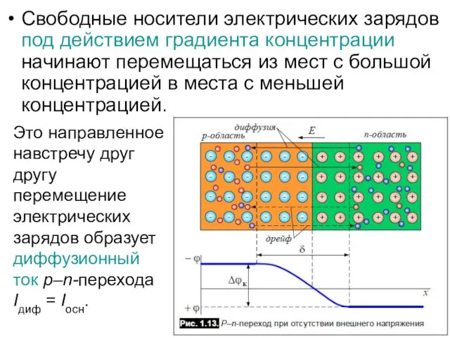 Свободные носители электрических зарядов под действием градиента концентрации начинают перемещаться