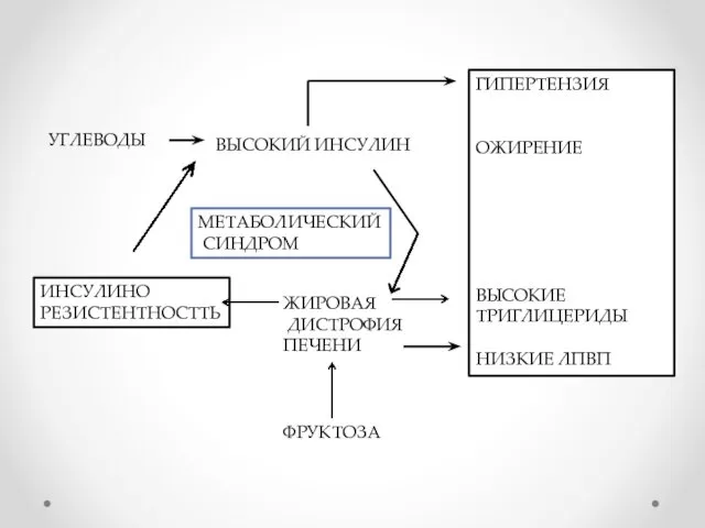 УГЛЕВОДЫ ВЫСОКИЙ ИНСУЛИН МЕТАБОЛИЧЕСКИЙ СИНДРОМ ИНСУЛИНО РЕЗИСТЕНТНОСТТЬ ЖИРОВАЯ ДИСТРОФИЯ ПЕЧЕНИ