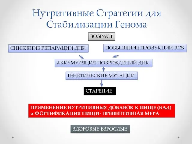 Нутритивные Стратегии для Стабилизации Генома СНИЖЕНИЕ РЕПАРАЦИИ ДНК ПОВЫШЕНИЕ ПРОДУКЦИИ