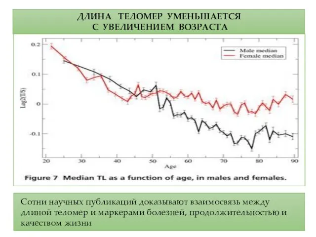 Сотни научных публикаций доказывают взаимосвязь между длиной теломер и маркерами