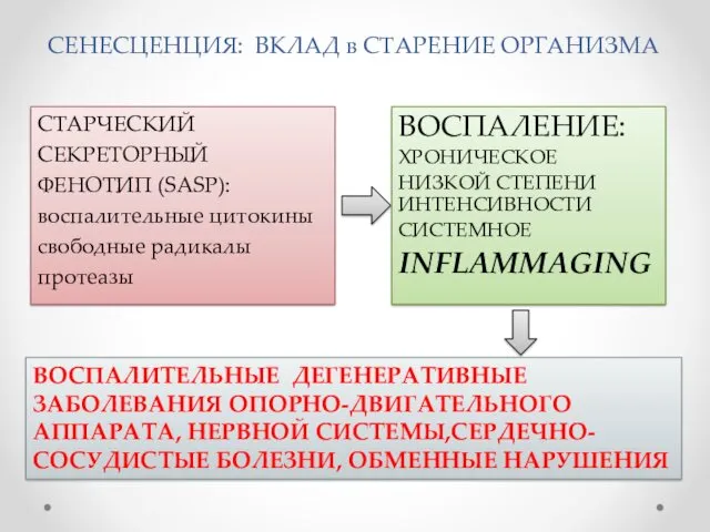 СЕНЕСЦЕНЦИЯ: ВКЛАД в СТАРЕНИЕ ОРГАНИЗМА ВОСПАЛЕНИЕ: ХРОНИЧЕСКОЕ НИЗКОЙ СТЕПЕНИ ИНТЕНСИВНОСТИ