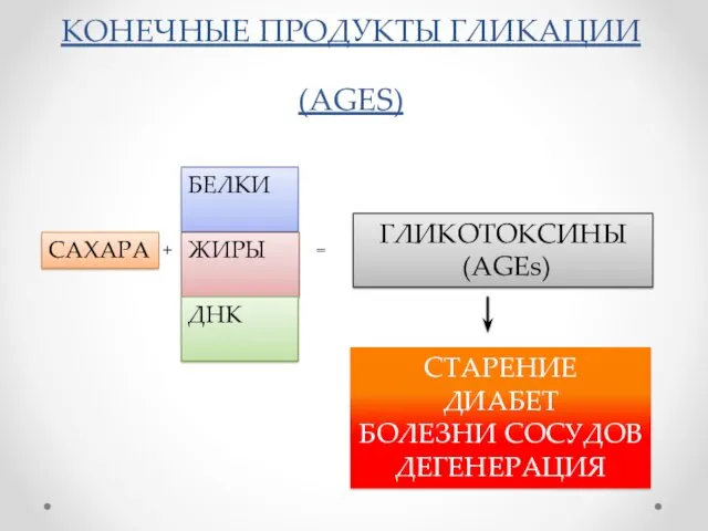 КОНЕЧНЫЕ ПРОДУКТЫ ГЛИКАЦИИ (AGES) ГЛИКОТОКСИНЫ (AGEs) САХАРА БЕЛКИ ЖИРЫ ДНК