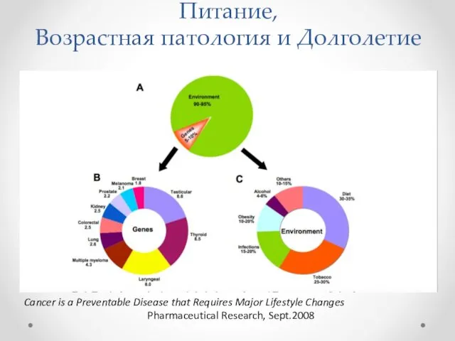 Питание, Возрастная патология и Долголетие Cancer is a Preventable Disease