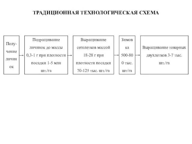 ТРАДИЦИОННАЯ ТЕХНОЛОГИЧЕСКАЯ СХЕМА