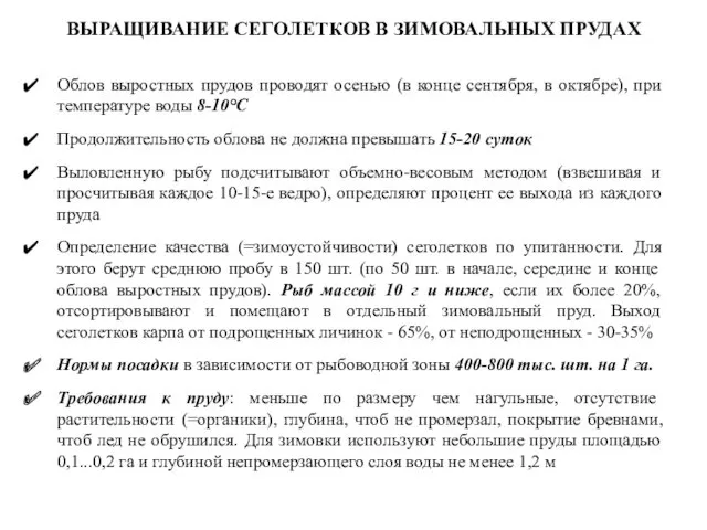 ВЫРАЩИВАНИЕ СЕГОЛЕТКОВ В ЗИМОВАЛЬНЫХ ПРУДАХ Облов выростных прудов проводят осенью