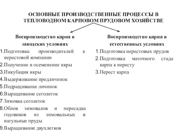 ОСНОВНЫЕ ПРОИЗВОДСТВЕННЫЕ ПРОЦЕССЫ В ТЕПЛОВОДНОМ КАРПОВОМ ПРУДОВОМ ХОЗЯЙСТВЕ Воспроизводство карпа