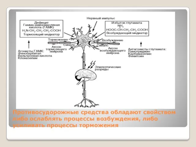 Противосудорожные средства обладают свойством либо ослаблять процессы возбуждения, либо усиливать процессы торможения