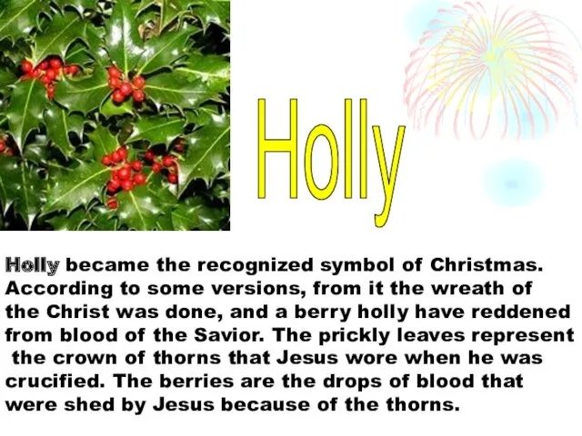 Holly became the recognized symbol of Christmas. According to some