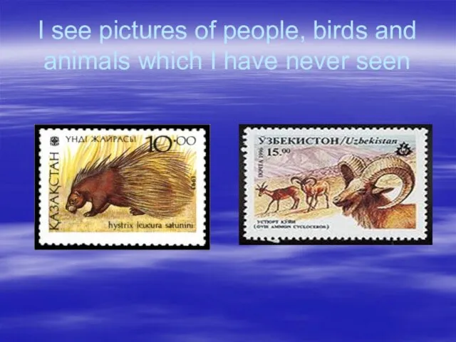 I see pictures of people, birds and animals which I have never seen