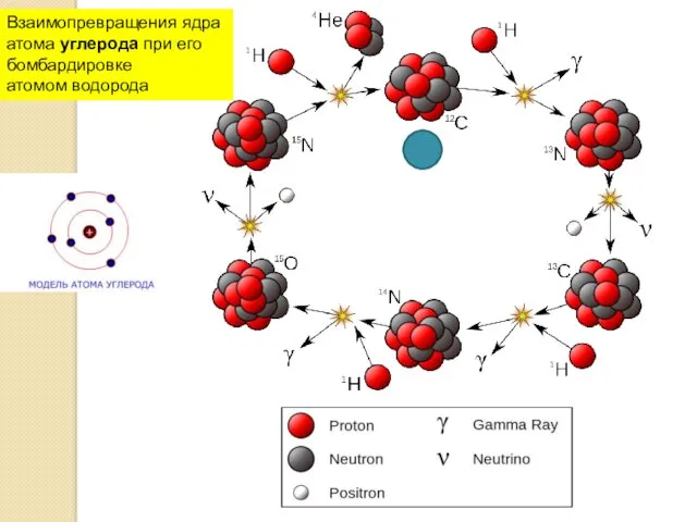 Взаимопревращения ядра атома углерода при его бомбардировке атомом водорода