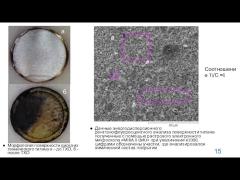 Морфология поверхности диска из технического титана а – до ТХО,