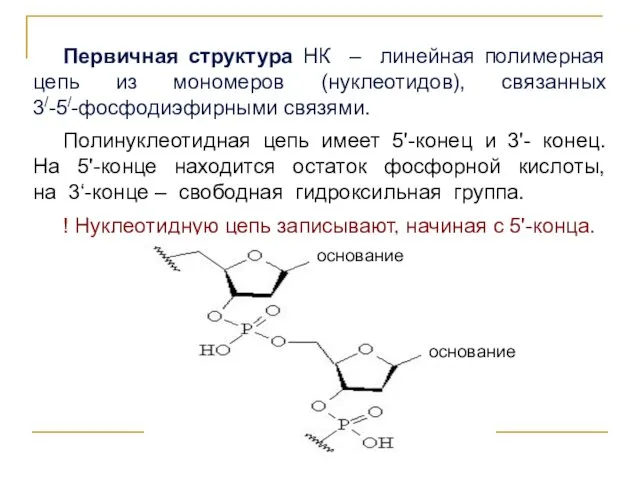 Первичная структура НК – линейная полимерная цепь из мономеров (нуклеотидов), связанных 3/-5/-фосфодиэфирными связями.