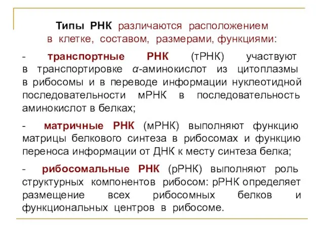 Типы РНК различаются расположением в клетке, составом, размерами, функциями: - транспортные РНК (тРНК)