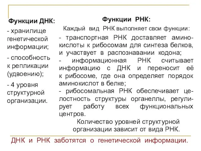 Функции ДНК: - хранилище генетической информации; - способность к репликации (удвоению); - 4