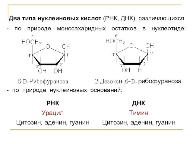Два типа нуклеиновых кислот (РНК, ДНК), различающихся - по природе моносахаридных остатков в