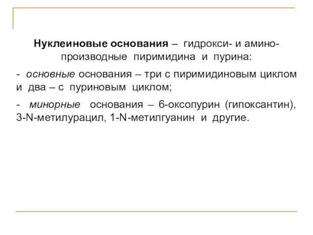 Нуклеиновые основания – гидрокси- и амино-производные пиримидина и пурина: - основные основания –