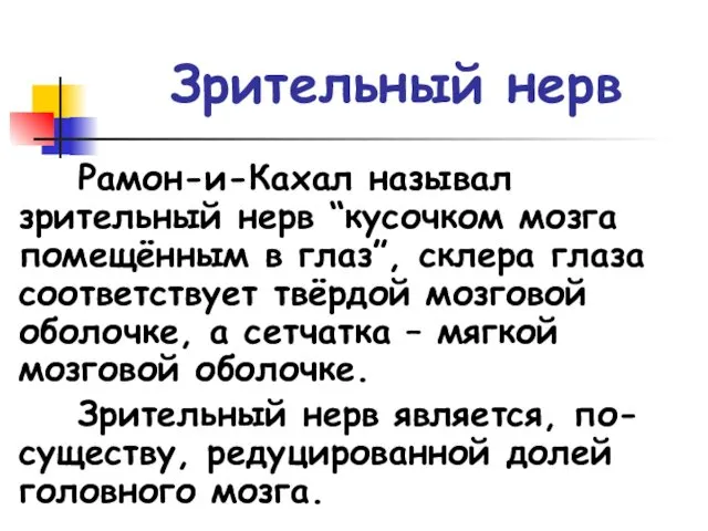 Зрительный нерв Рамон-и-Кахал называл зрительный нерв “кусочком мозга помещённым в