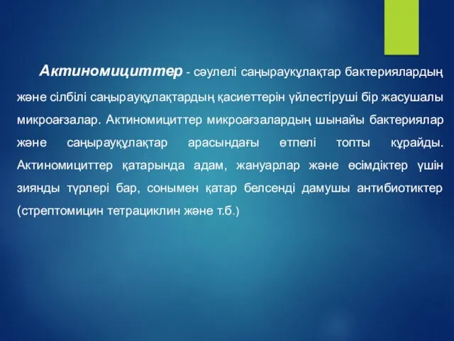 Актиномициттер - сәулелі саңыраукұлақтар бактериялардың және сілбілі саңырауқұлақтардың қасиеттерін үйлестіруші