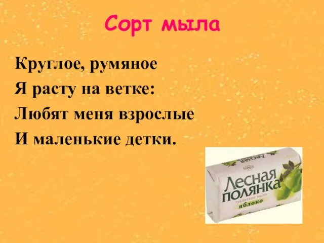 Сорт мыла Круглое, румяное Я расту на ветке: Любят меня взрослые И маленькие детки.