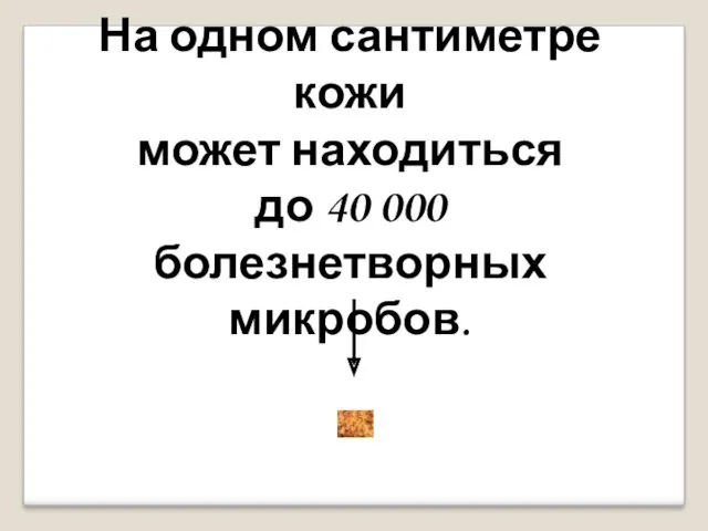 На одном сантиметре кожи может находиться до 40 000 болезнетворных микробов.