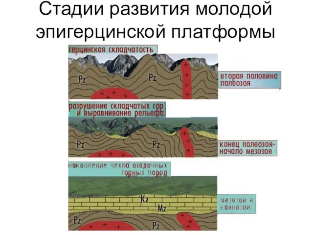 Стадии развития молодой эпигерцинской платформы