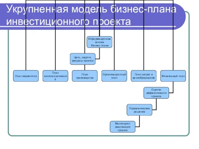 Укрупненная модель бизнес-плана инвестиционного проекта