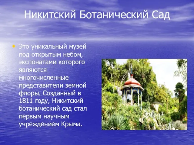 Никитский Ботанический Сад Это уникальный музей под открытым небом, экспонатами которого являются многочисленные