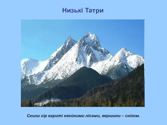 Низькі Татри Схили гір вкриті хвойними лісами, вершини – снігом.