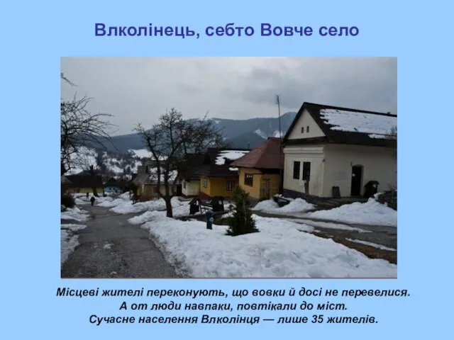 Влколінець, себто Вовче село Місцеві жителі переконують, що вовки й досі не перевелися.