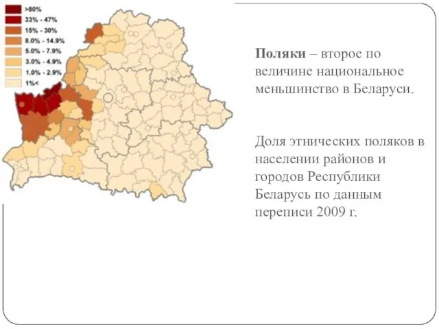 Поляки – второе по величине национальное меньшинство в Беларуси. Доля