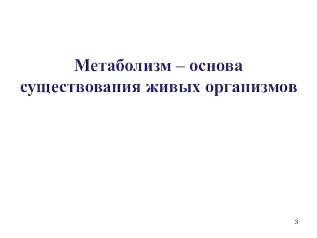 Метаболизм – основа существования живых организмов