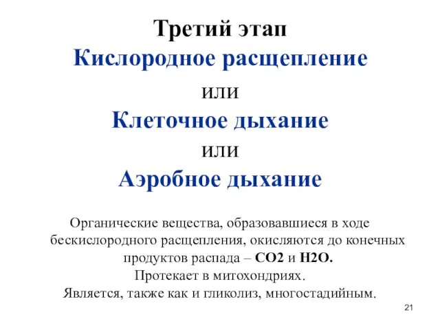 Третий этап Кислородное расщепление или Клеточное дыхание или Аэробное дыхание