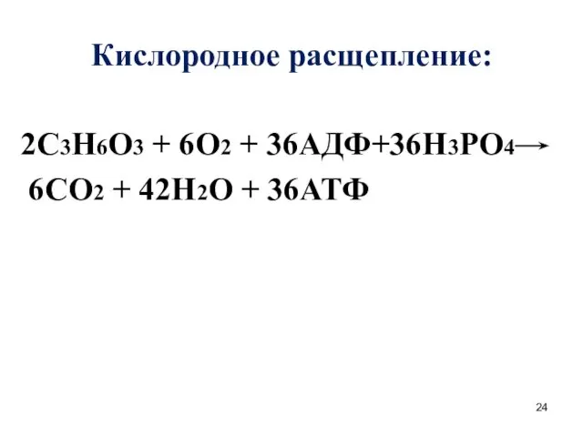 Кислородное расщепление: 2С3Н6О3 + 6О2 + 36АДФ+36Н3РО4 6СО2 + 42Н2О + 36АТФ