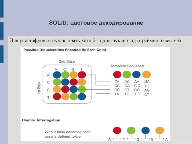 SOLiD: цветовое декодирование Для расшифровки нужно знать хотя бы один нуклеотид (праймер известен)