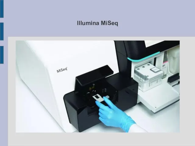 Illumina MiSeq