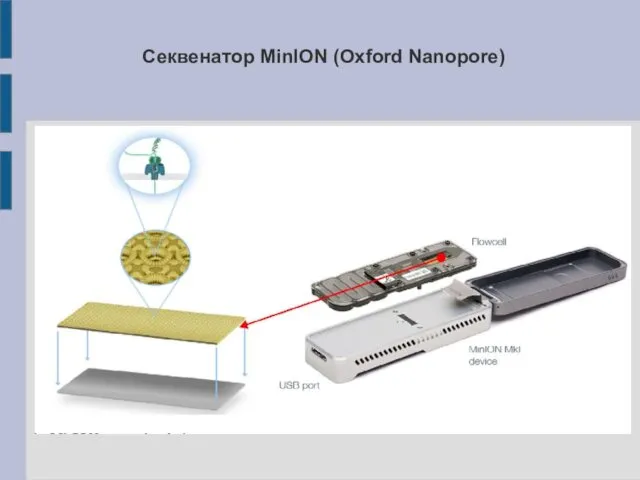 Секвенатор MinION (Oxford Nanopore)